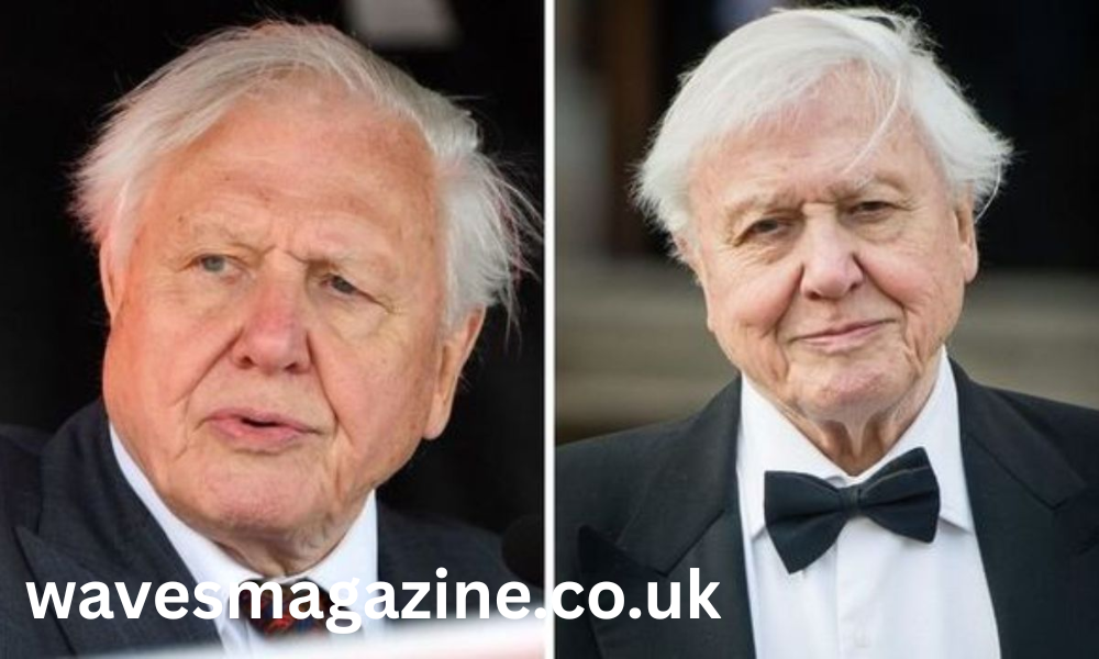 robert attenborough